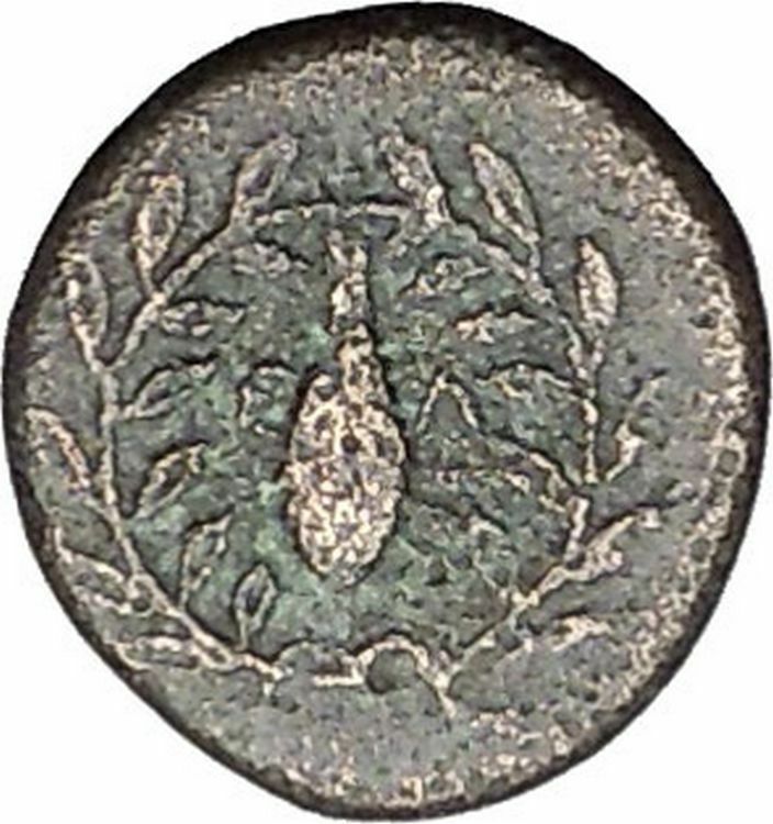 Elaia in Asia Minor 4th-3rdCentBC Ancient Greek Coin Athena Corn-grain i49054