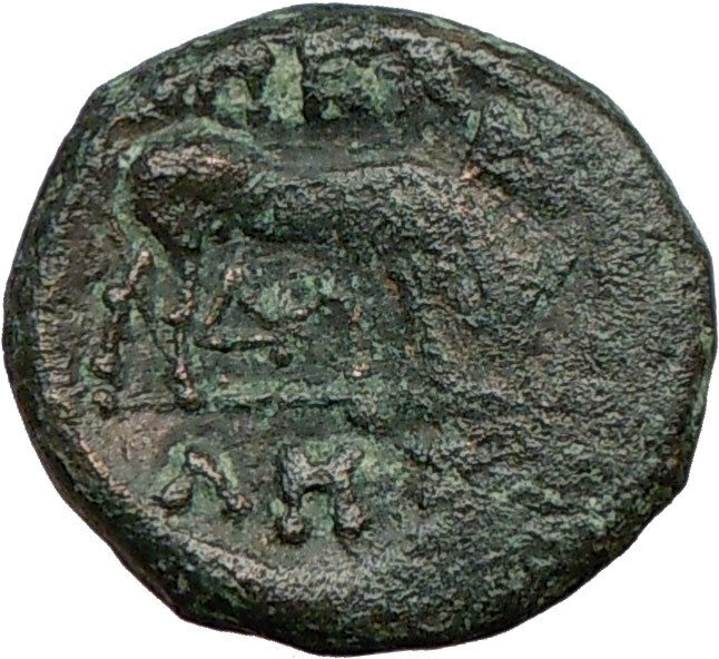 Pella Macedonia 158BC Athena Bull Ancient i22735 ANCIENT Rare Greek Coin i22735