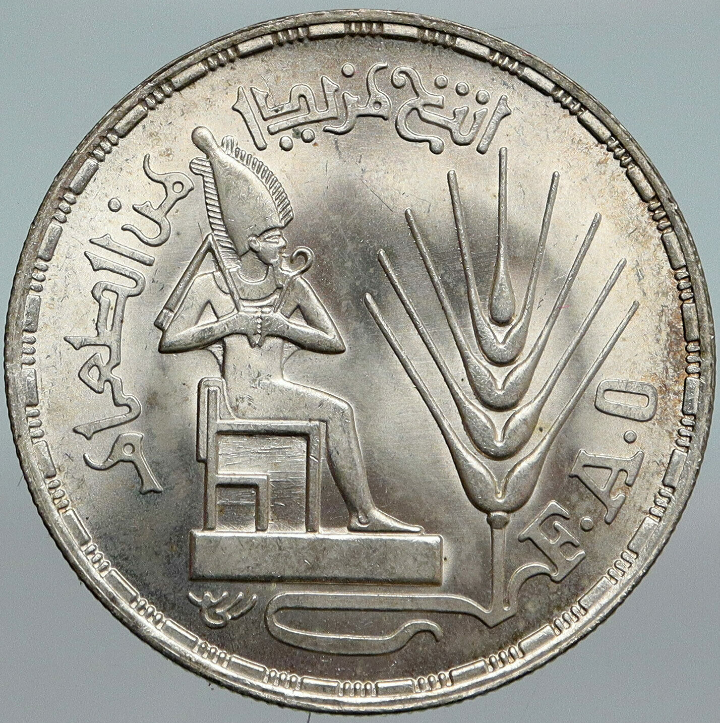 1976 EGYPT FAO United Nations FOOD PROGRAMOld OSIRIS Silver Pound Coin i88028