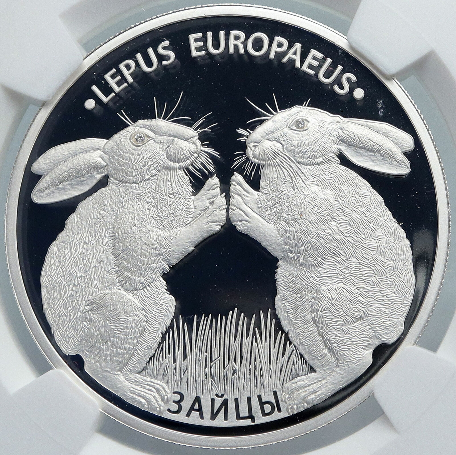 2014 BELARUS Hares Animals RABBITS Pets Proof Silver 20 Rouble Coin NGC i89091