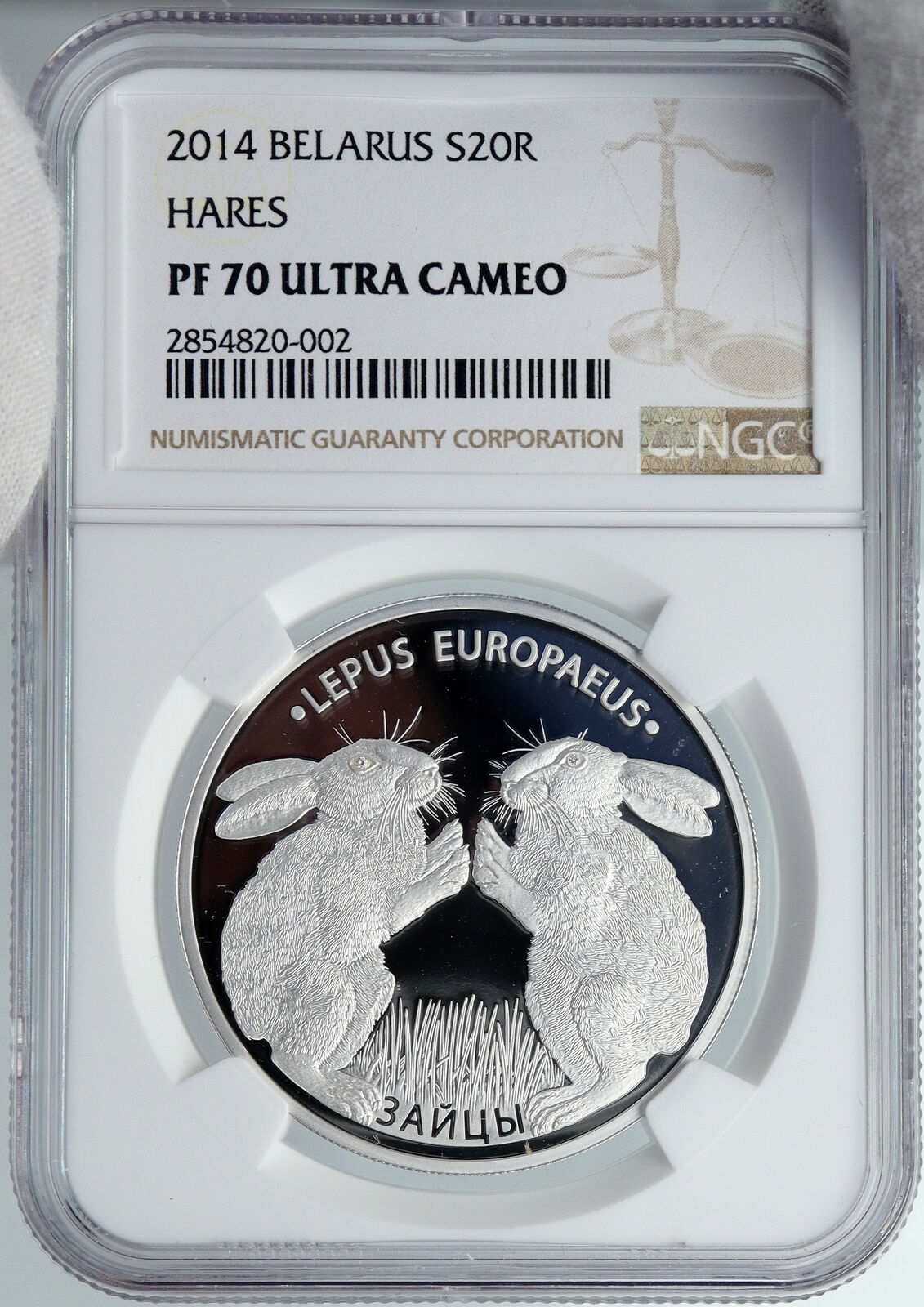 2014 BELARUS Hares Animals RABBITS Pets Proof Silver 20 Rouble Coin NGC i89091