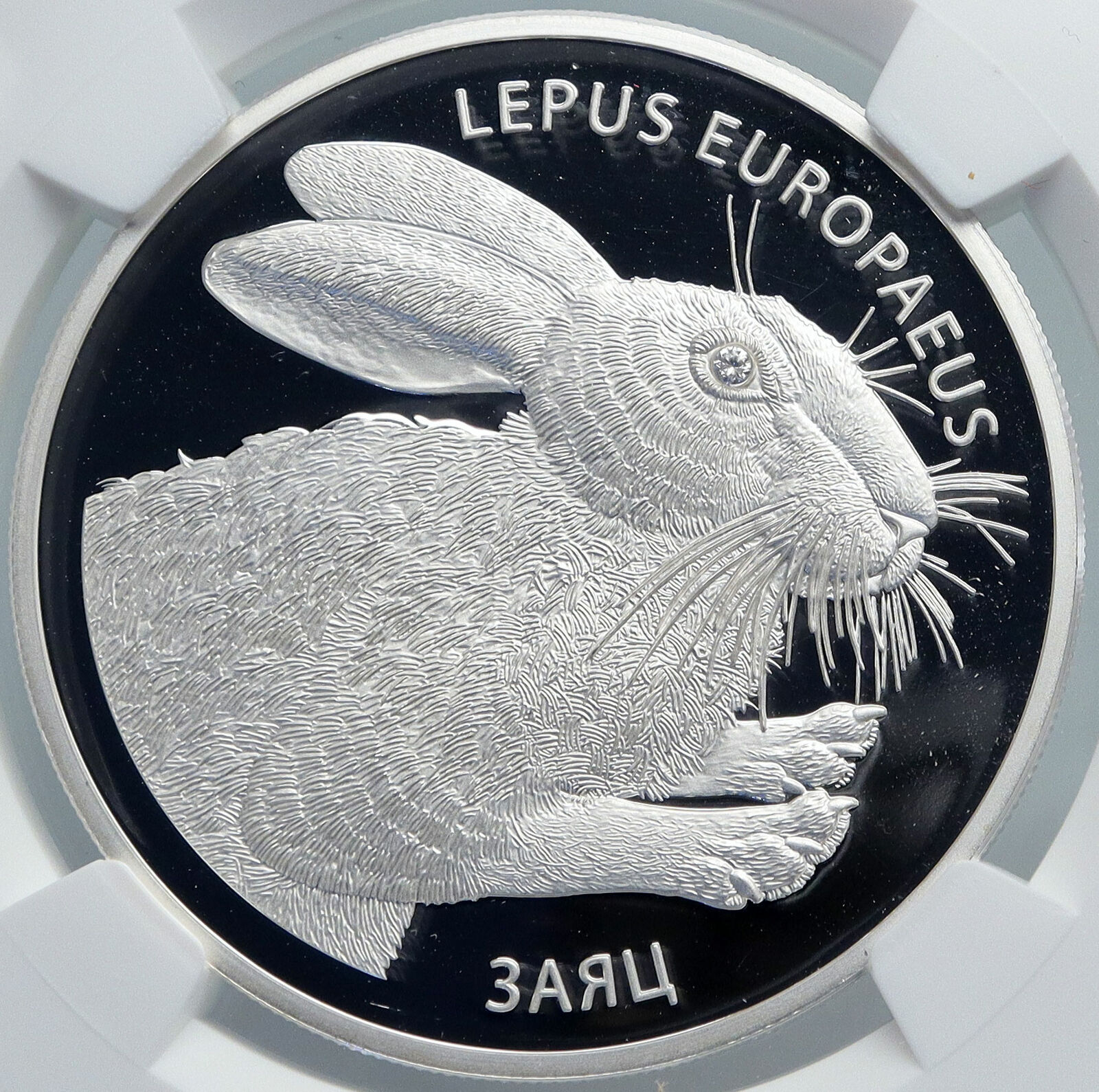 2014 BELARUS Hares Animals RABBITS Pets Proof Silver 20 Rouble Coin NGC i89092