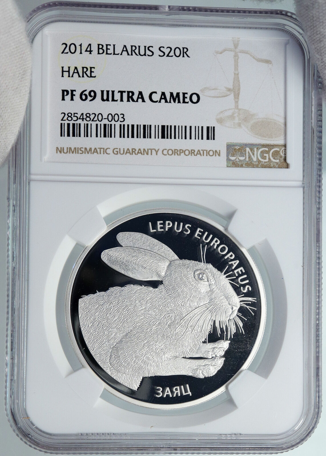 2014 BELARUS Hares Animals RABBITS Pets Proof Silver 20 Rouble Coin NGC i89092