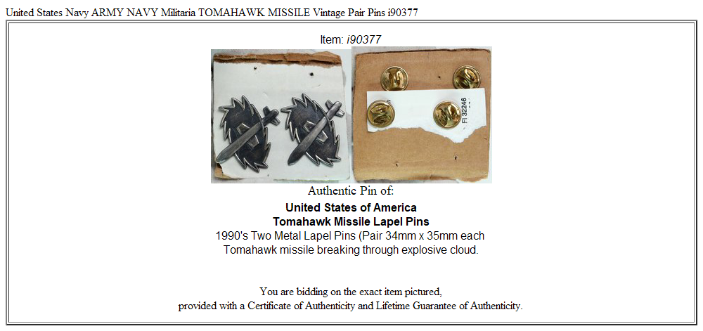 United States Navy ARMY NAVY Militaria TOMAHAWK MISSILE Vintage Pair Pins i90377