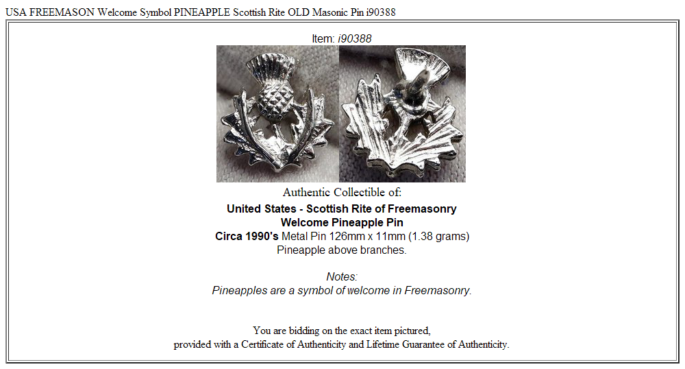 USA FREEMASON Welcome Symbol PINEAPPLE Scottish Rite OLD Masonic Pin i90388