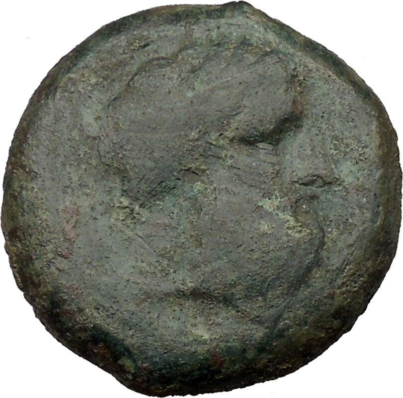 Syracuse in Sicily 344BC Timoleon Zeus Eleutherios Ancient Greek Coin i36652