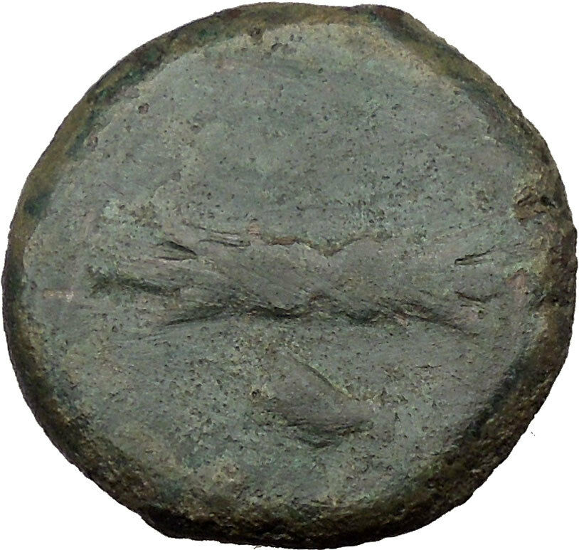 Syracuse in Sicily 344BC Timoleon Zeus Eleutherios Ancient Greek Coin i36652