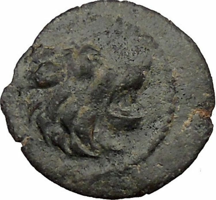 ANTOCHOS VII Seleucid Ancient Greek Coin Nemean Lion Hercules Labor i36803