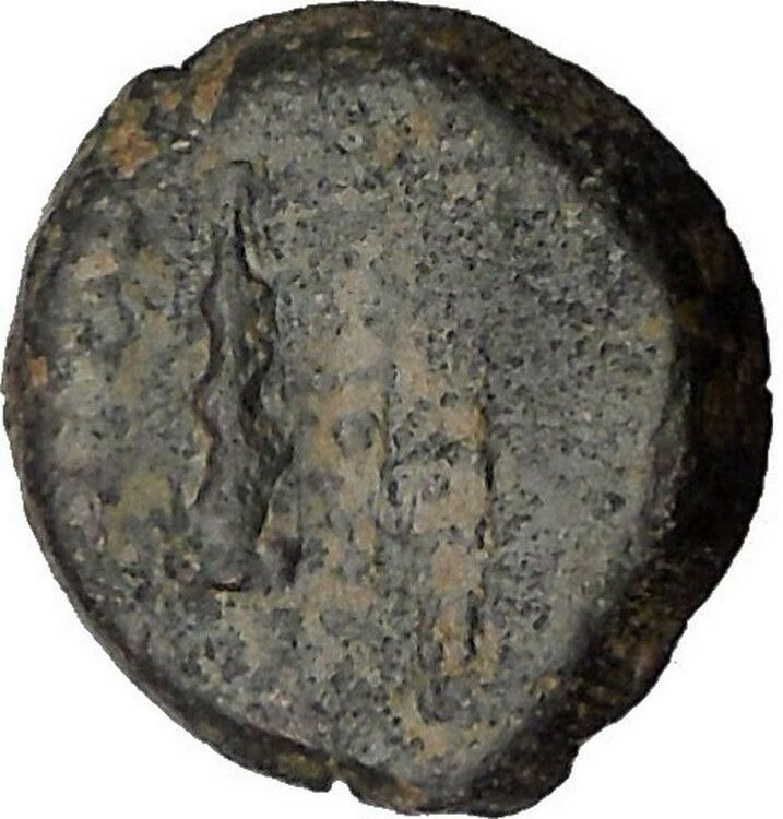 ANTOCHOS VII Seleucid Ancient Greek Coin Nemean Lion Hercules Labor i36803