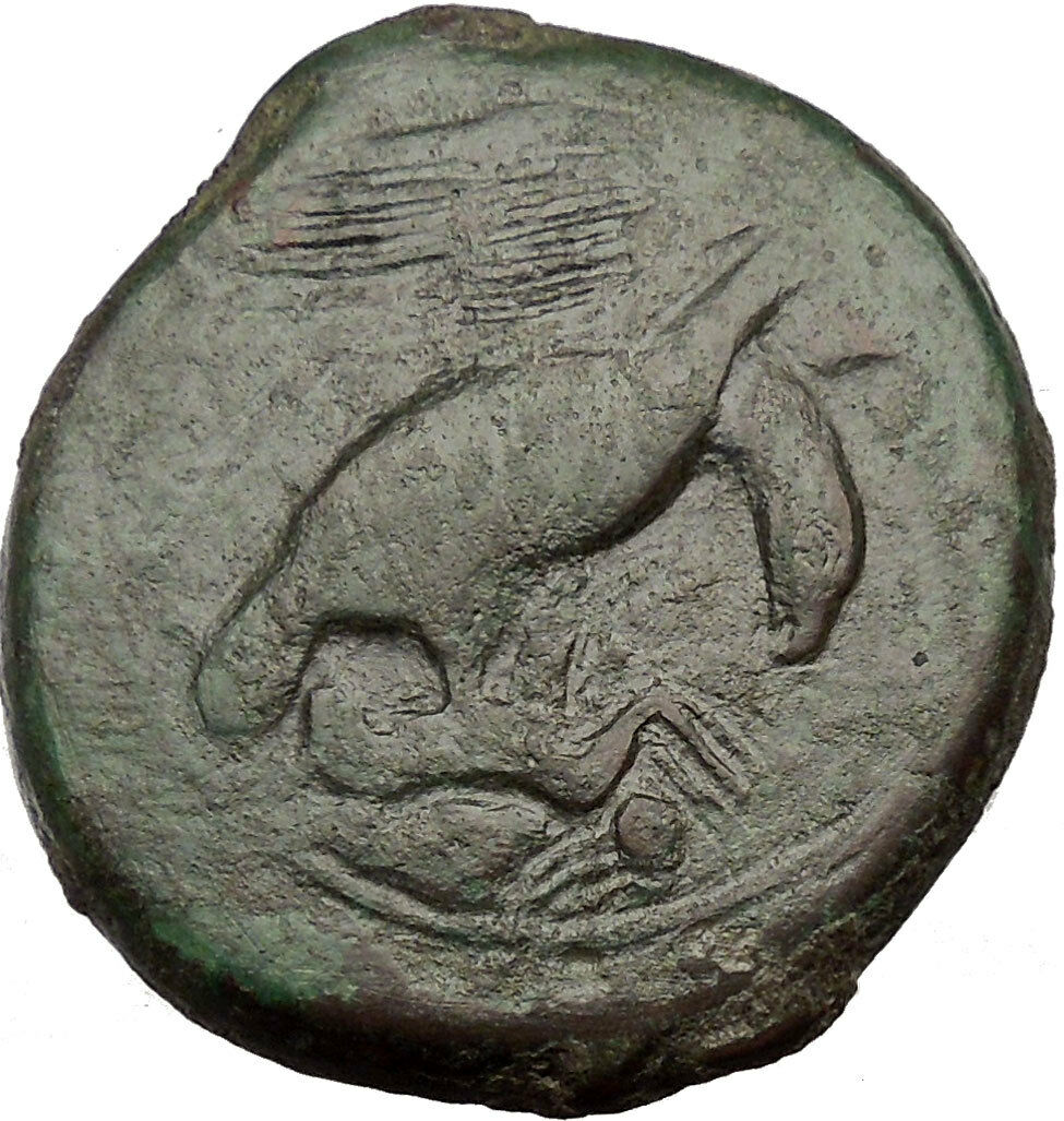 AKRAGAS in SICILY 425BC Eagle Hare Crab Crayfish Hemilitron Greek Coin i36481