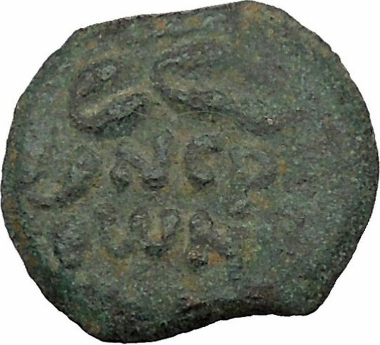 Porcius Festus Jerusalem Nero Ancient Greek / Roman Coin Palm branch i36714