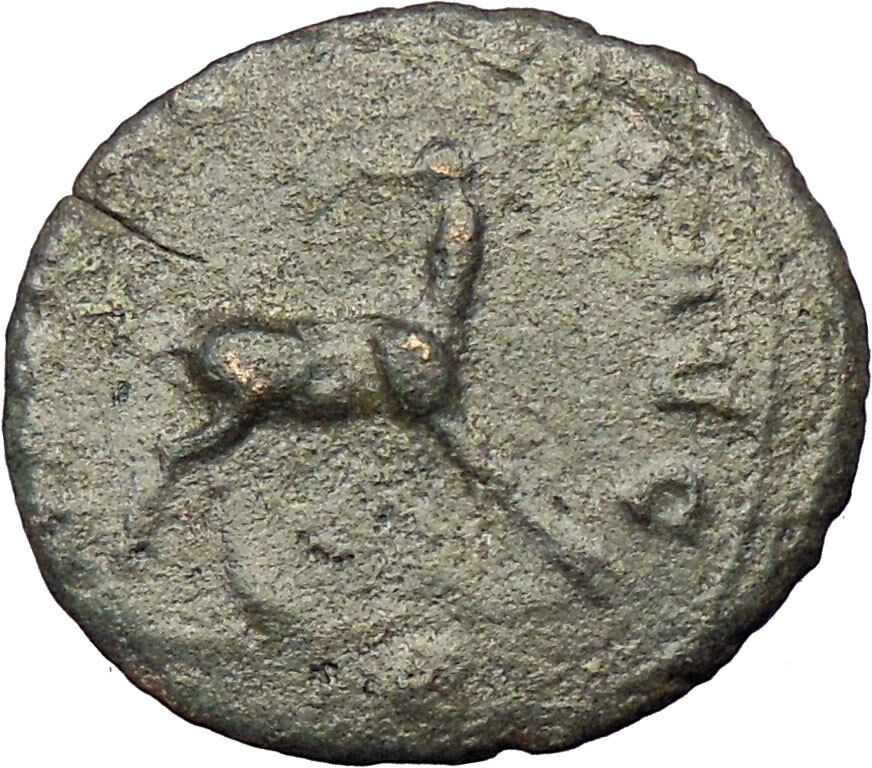 GALLIENUS son of Valerian I Sole rule Rare Ancient Roman Coin Antelope i29053