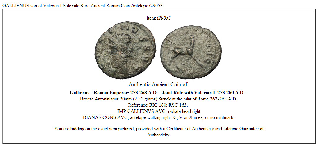 GALLIENUS son of Valerian I Sole rule Rare Ancient Roman Coin Antelope i29053