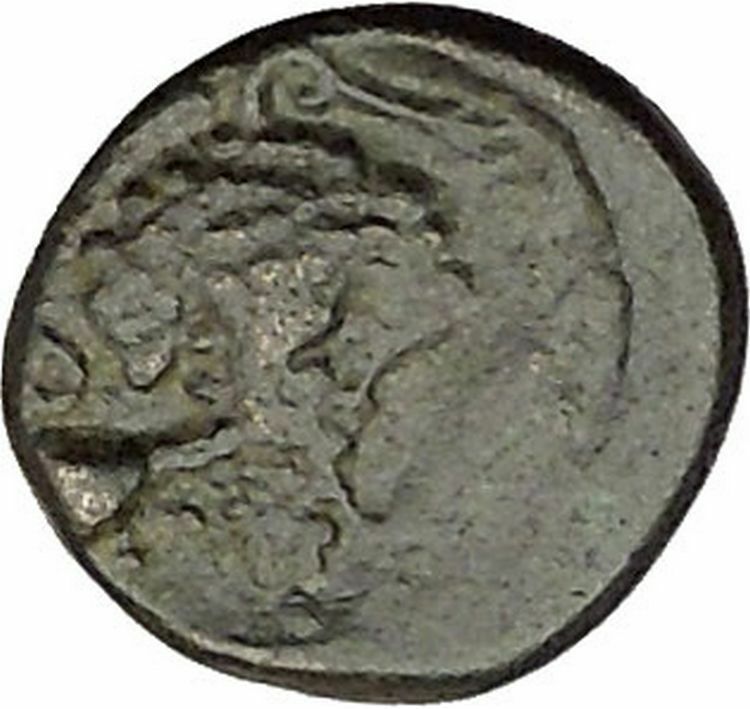 Opus in LOKRIS OPUNTIA & EPIKNEMIDIA 338BC RARE Greek Coin Athena Grapes i39217