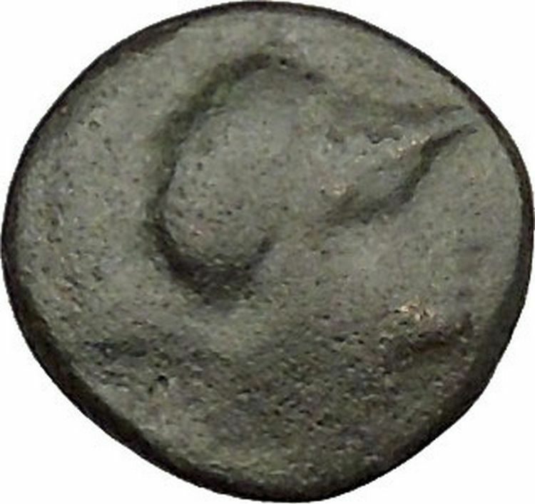 Opus in LOKRIS OPUNTIA & EPIKNEMIDIA 338BC RARE Greek Coin Athena Grapes i39217