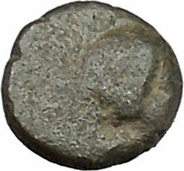 ALEXANDRIA TROAS 302BC Apollo Horse RARE Quarter Unit Ancient Greek Coin i45671