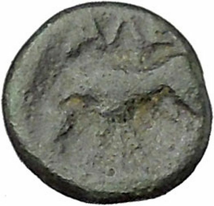 ALEXANDRIA TROAS 302BC Apollo Horse RARE Quarter Unit Ancient Greek Coin i45673