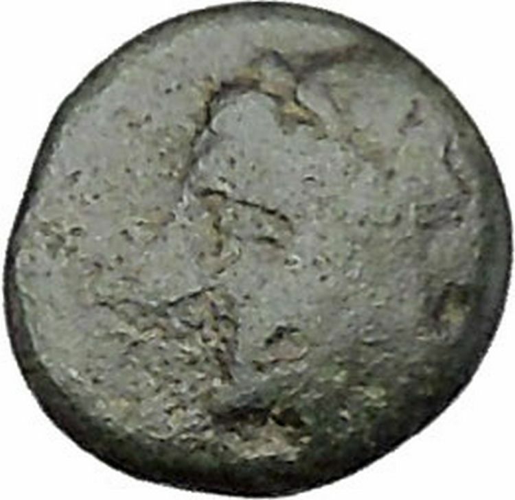 ALEXANDRIA TROAS 302BC Apollo Horse RARE Quarter Unit Ancient Greek Coin i45673