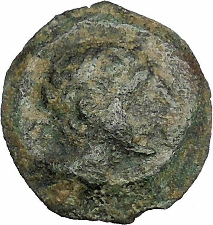 CASTULO Spain 2nd Century BC Male Bull Authentic Ancient Greek Coin i46502