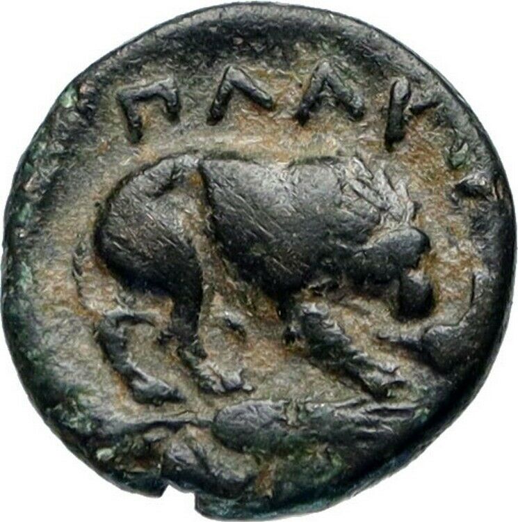 PLAKIA in MYSIA 350BC Cybele Lion Genuine Authentic Ancient Greek Coin i46655