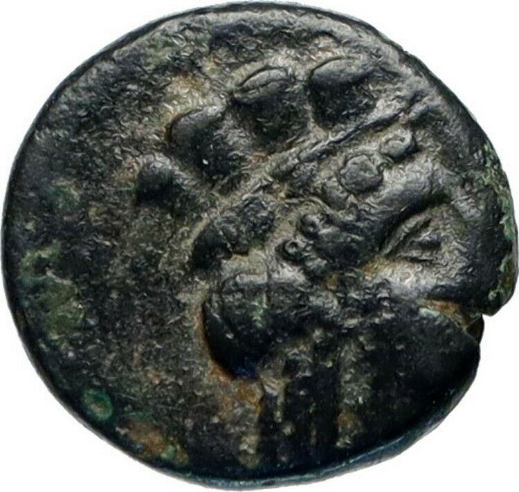 PLAKIA in MYSIA 350BC Cybele Lion Genuine Authentic Ancient Greek Coin i46655