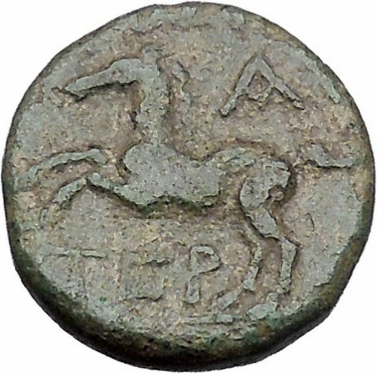 Termessos Major in Pisidia 71BC Zeus Horse Authentic Ancient Greek Coin i46969