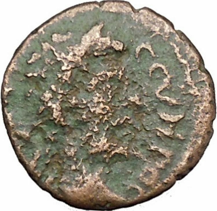 SEPTIMIUS SEVERUS 193AD Nicaea Bithynia SERPENT CISTA MYSTICA Roman Coin i45452