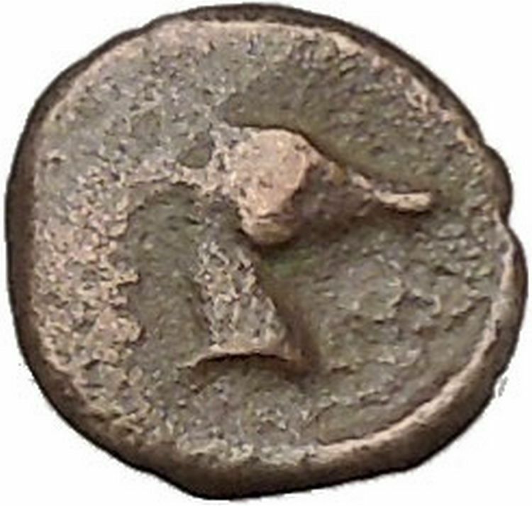 EPESUS Ephesos IONIA 405BC Bee Stag's Head Authentic Ancient Greek Coin i45496