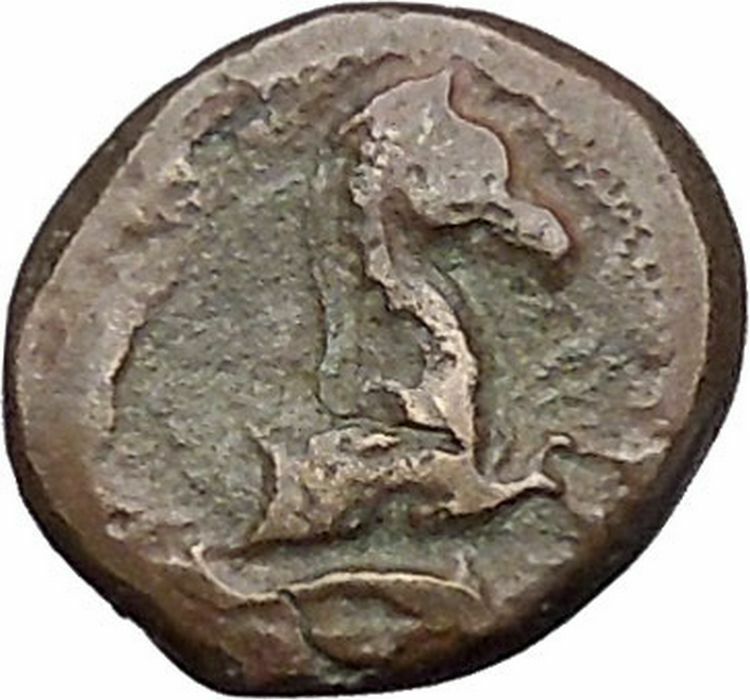 Panormos in Sicily 336BC RARE Ancient Greek Coin APOLLO Cult Horse i47298