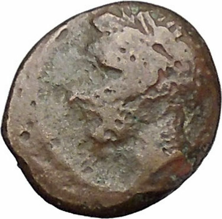 Panormos in Sicily 336BC RARE Ancient Greek Coin APOLLO Cult Horse i47298