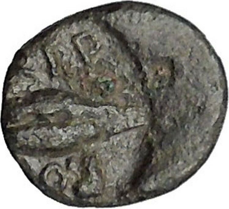 CHERSONESOS in THRACE 386BC RARE Ancient Greek Coin Lion Barley Grain i47291