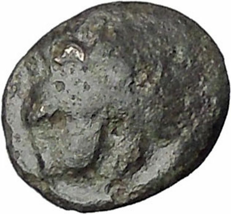 CHERSONESOS in THRACE 386BC RARE Ancient Greek Coin Lion Barley Grain i47291