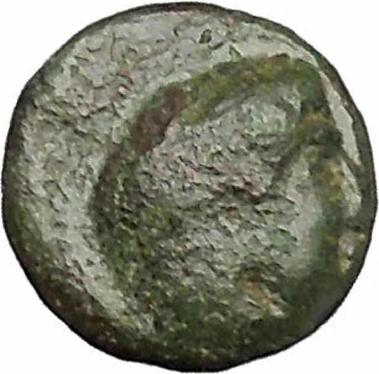 ALEXANDER III the GREAT 336BC RARE Quarter Unit Small Ancient Greek Coin i47315