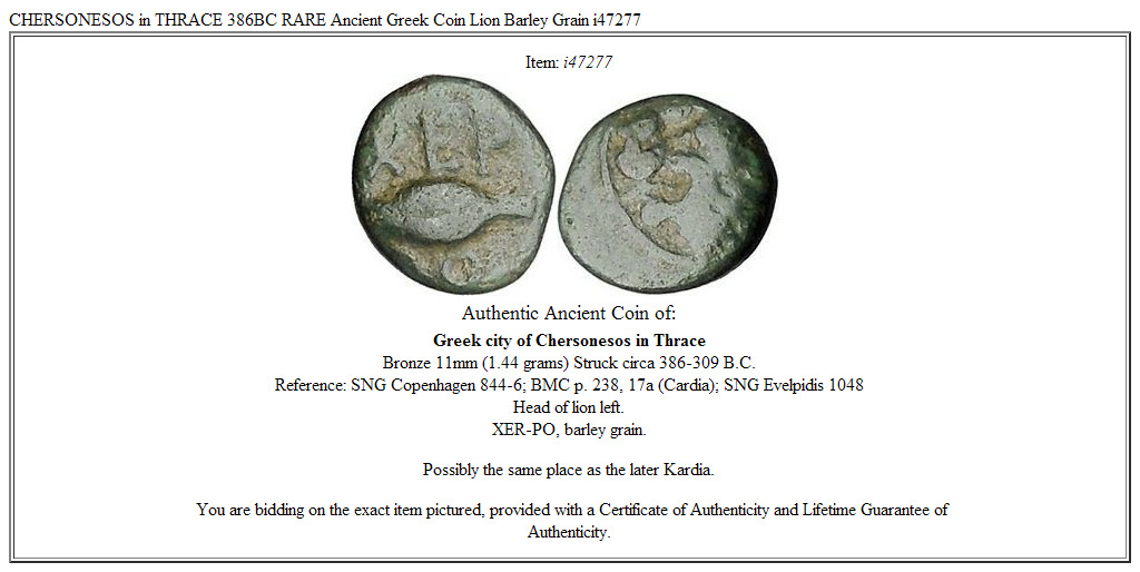 CHERSONESOS in THRACE 386BC RARE Ancient Greek Coin Lion Barley Grain i47277