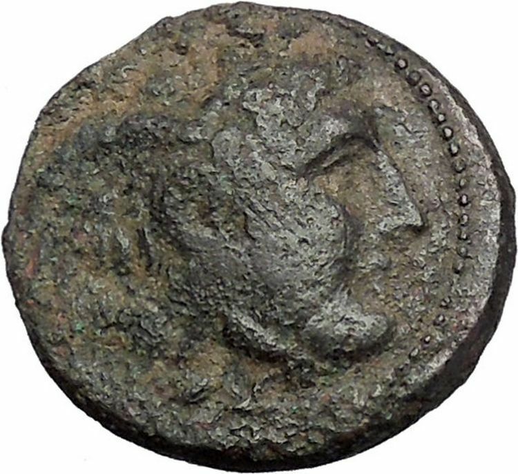 Seleukos I, Nikator 312BC Ancient Rare Greek Coin Medusa Protection Bull i47601