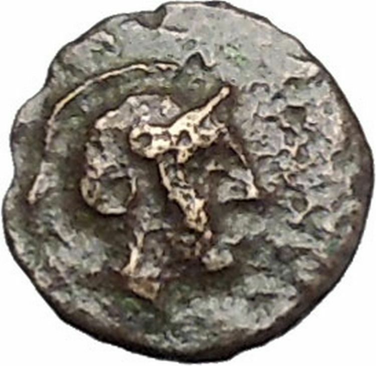 Permanon in Mysia 281-200BC RARE Ancient Greek Coin Athena Minerva Stars i47747