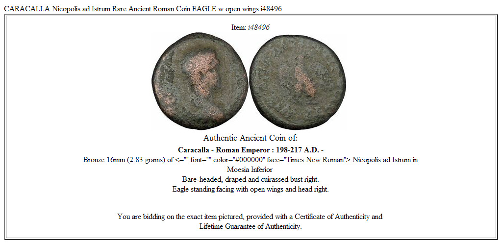 CARACALLA Nicopolis ad Istrum Rare Ancient Roman Coin EAGLE w open wings i48496