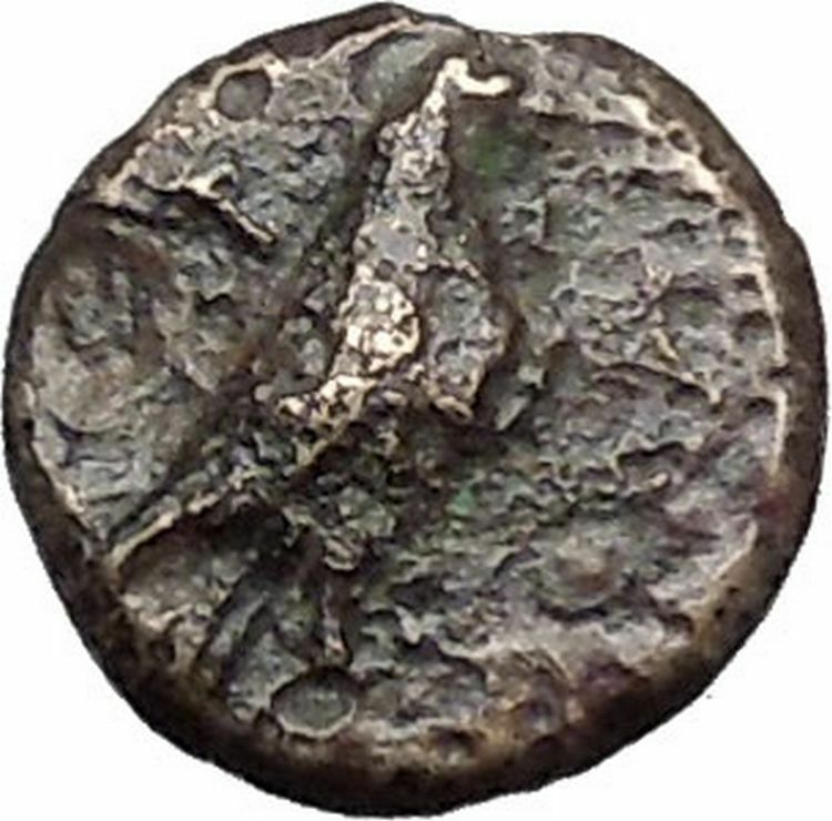 Kyme in Aeolis 350BC EAGLE & VASE on Authentic Ancient Greek Coin i48599