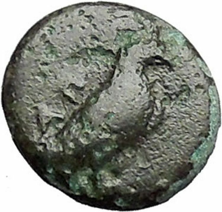 Kyme in Aeolis 350BC EAGLE & VASE on Authentic Ancient Greek Coin i48614