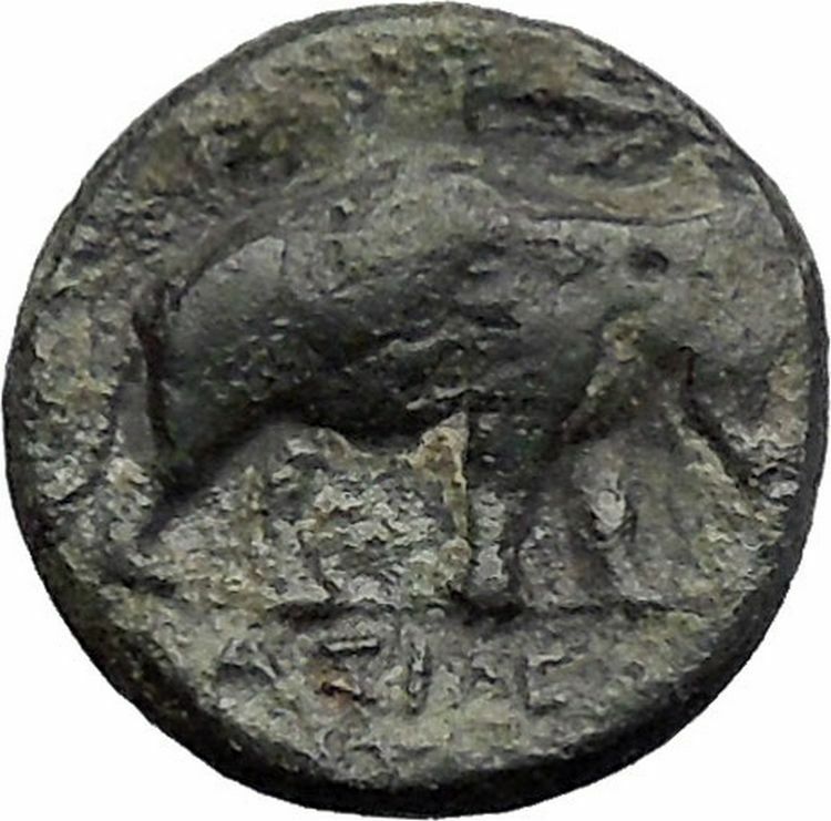 ANTIOCHOS III Megas 222BC Medusa Shield Elephant SELEUKID Greek Coin i48633