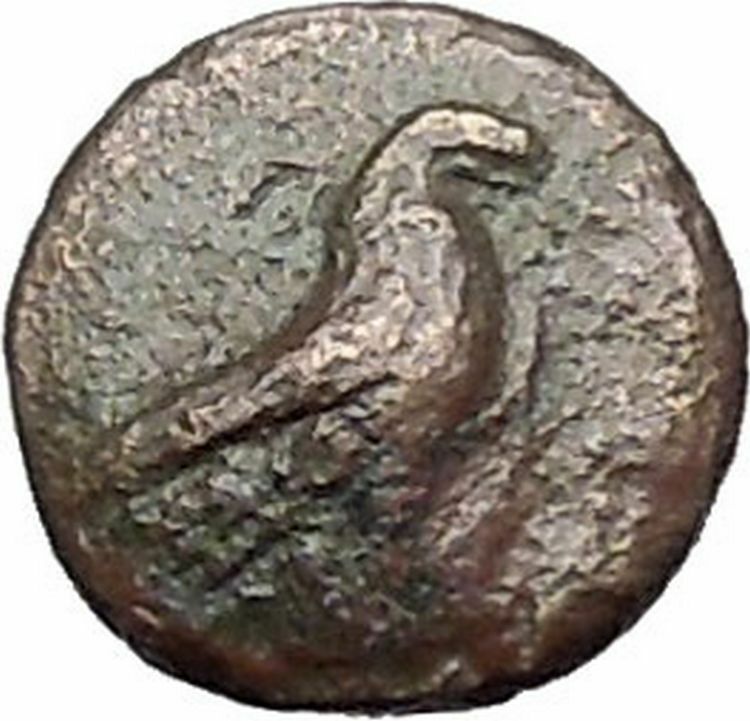 Kyme in Aeolis 350BC EAGLE & VASE on Authentic Ancient Greek Coin i48573