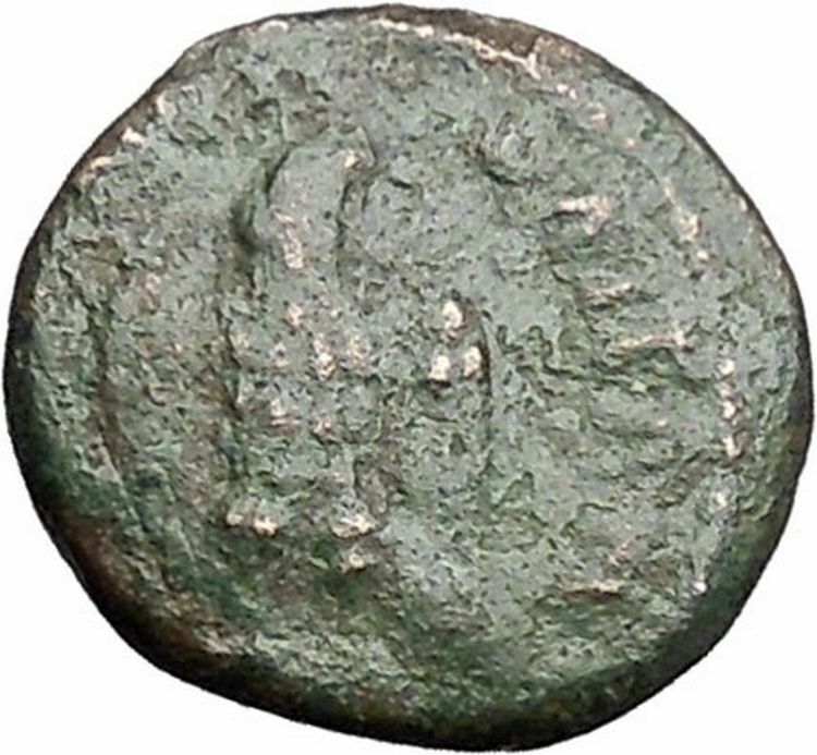 SEPTIMIUS SEVERUS 193AD Marcianopolis in Moesia EAGLE Ancient Roman Coin i48536