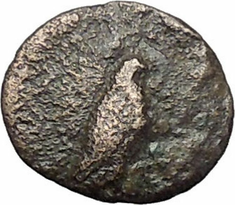 Kyme in Aeolis 350BC EAGLE & VASE on Authentic Ancient Greek Coin i48586