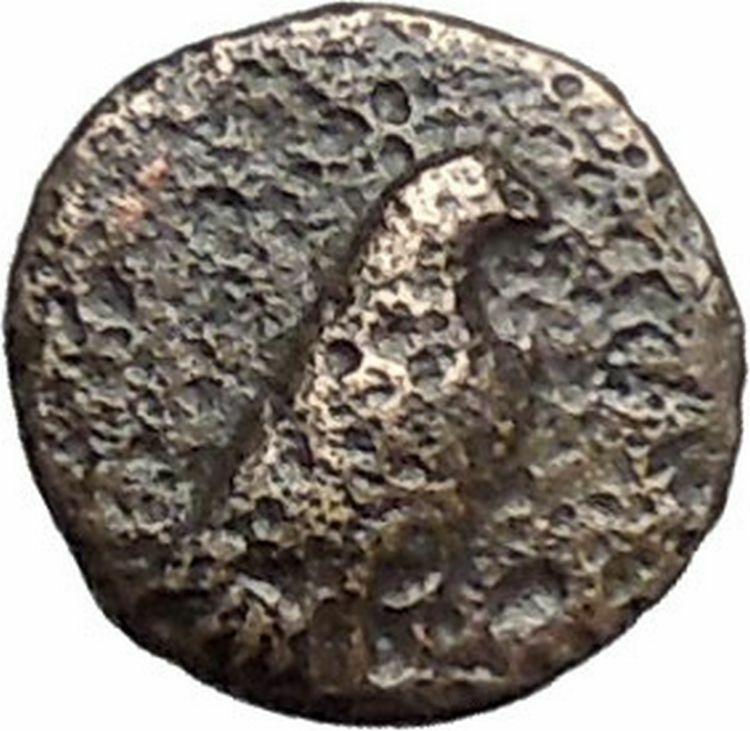 Kyme in Aeolis 350BC EAGLE & VASE on Authentic Ancient Greek Coin i48575