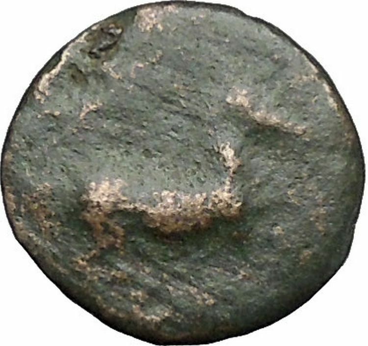 Maroneia in Thrace 400BC Original Ancient Greek Coin Horse Vine Grapes i48968