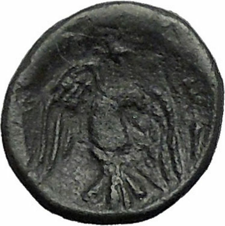 CHALKIS in EUBOEA 290BC Hera Eagle Serpent Authentic Ancient Greek Coin i48796