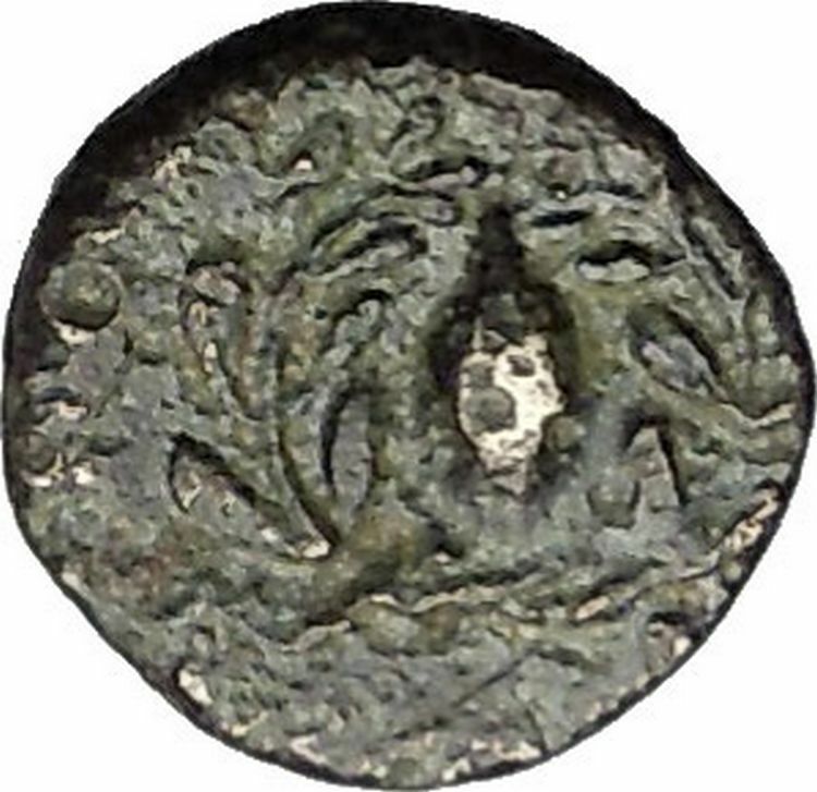 Elaia in Aiolis 340BC Authentic Ancient Greek Coin Athena Corn-grain i49545