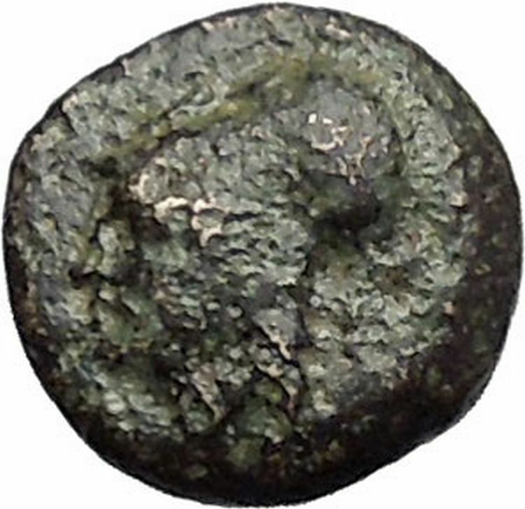 Elaia in Aiolis 340BC Authentic Ancient Greek Coin Athena Corn-grain i49545