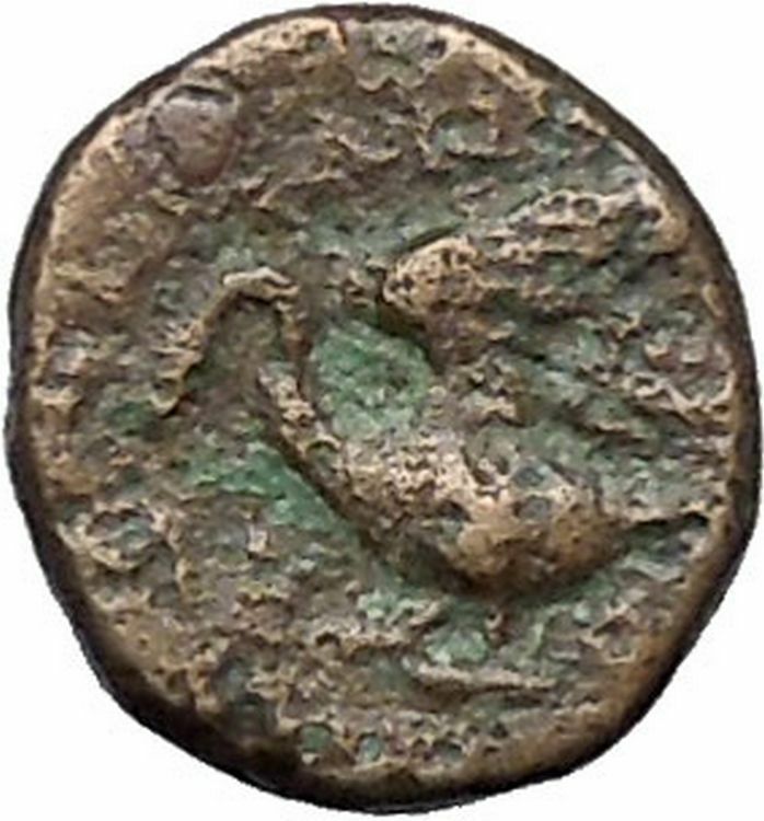 Klazomenai in Ionia 380BC Authetic Ancient Greek Coins Apollo Cult Swan i49599