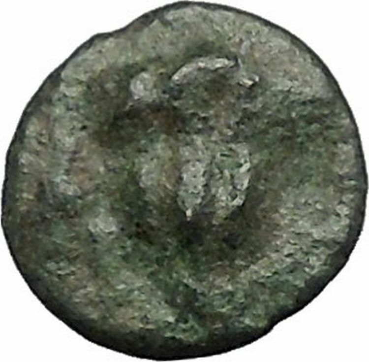 RHODES Island Off CARIA 394BC Nymph Rhodos ROSE Ancient Greek Coin i49613